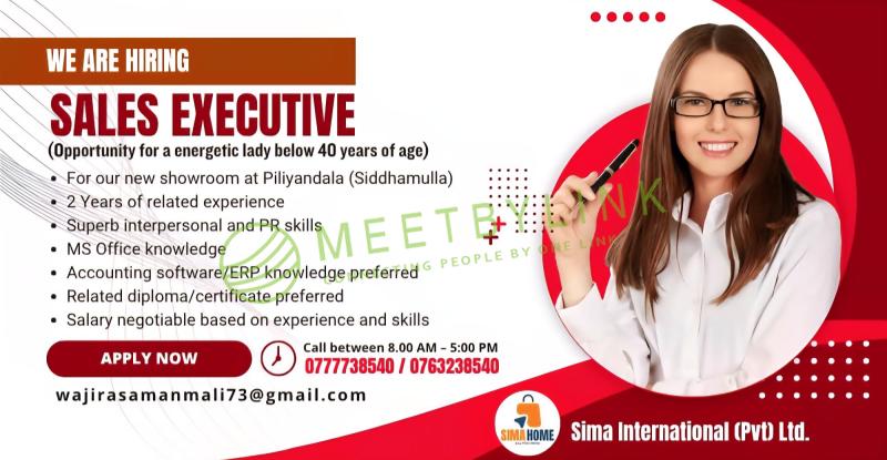 Sales Executive