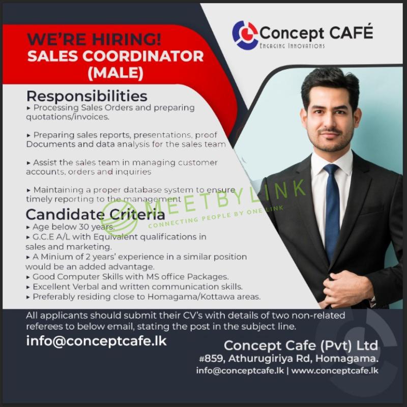 Sales Coordinator (Male) 