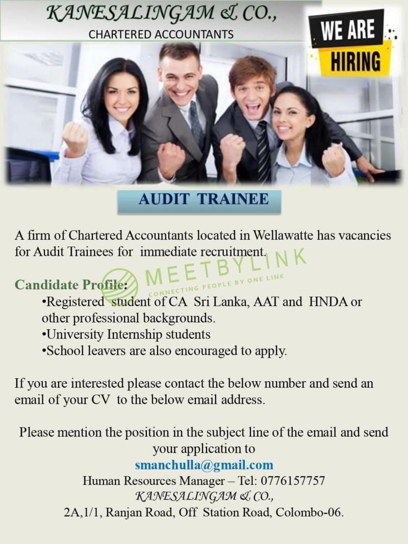 Audit Trainee