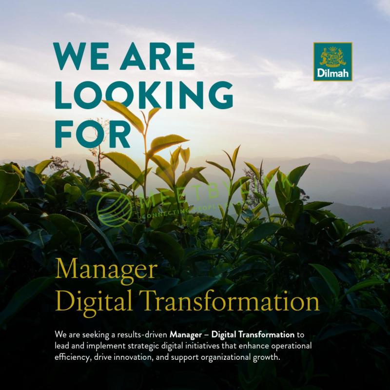Manager - Digital Transformation