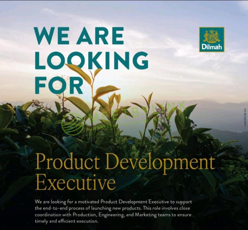 Product Development Executive