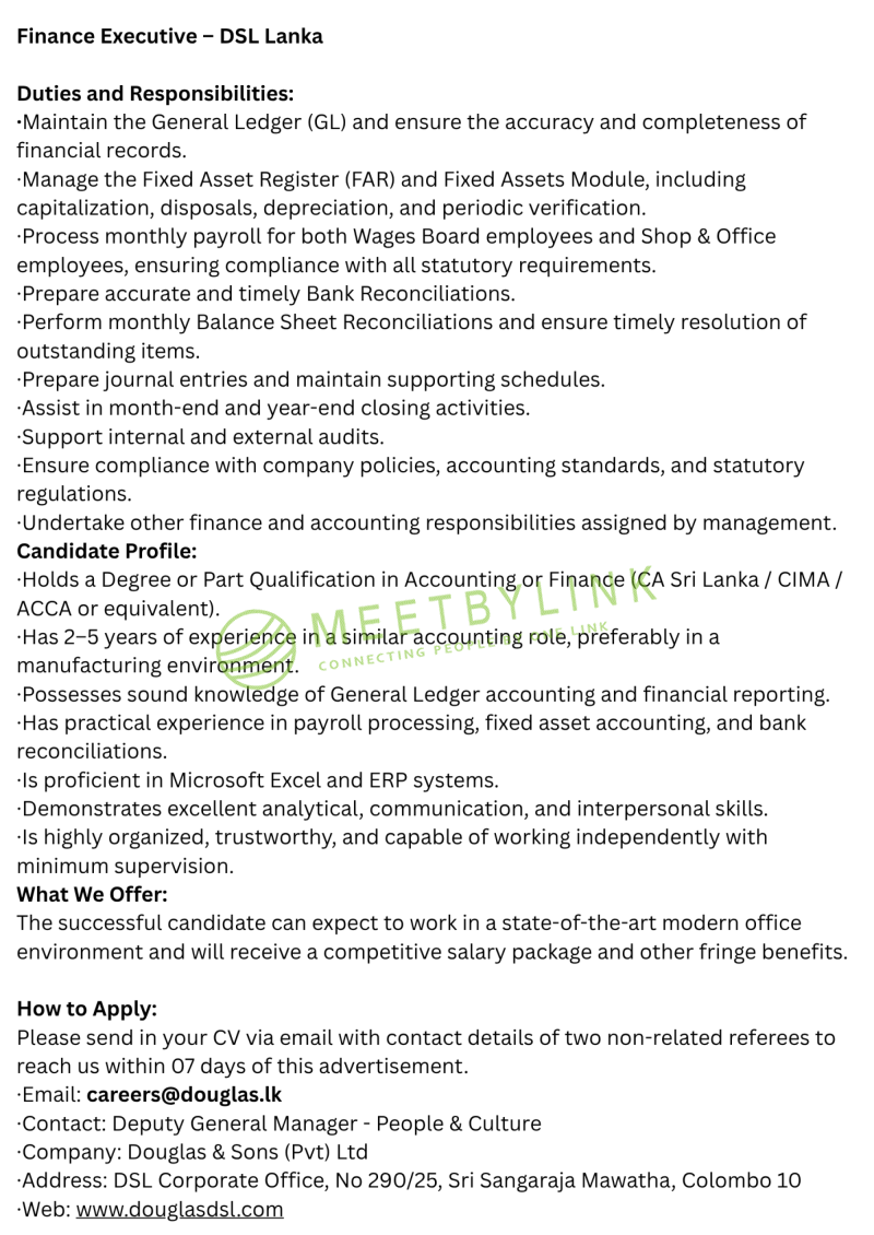 Finance Executive 