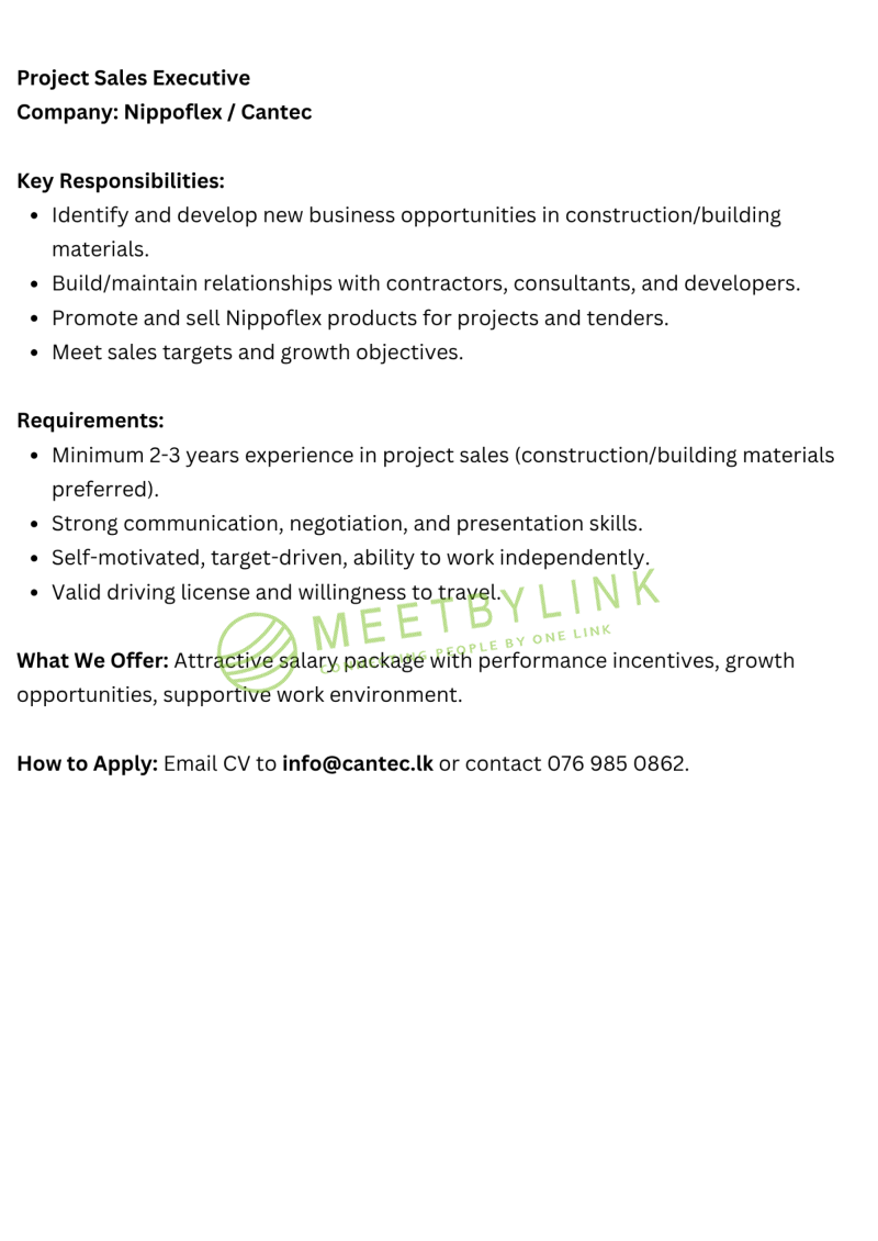 Project Sales Executive