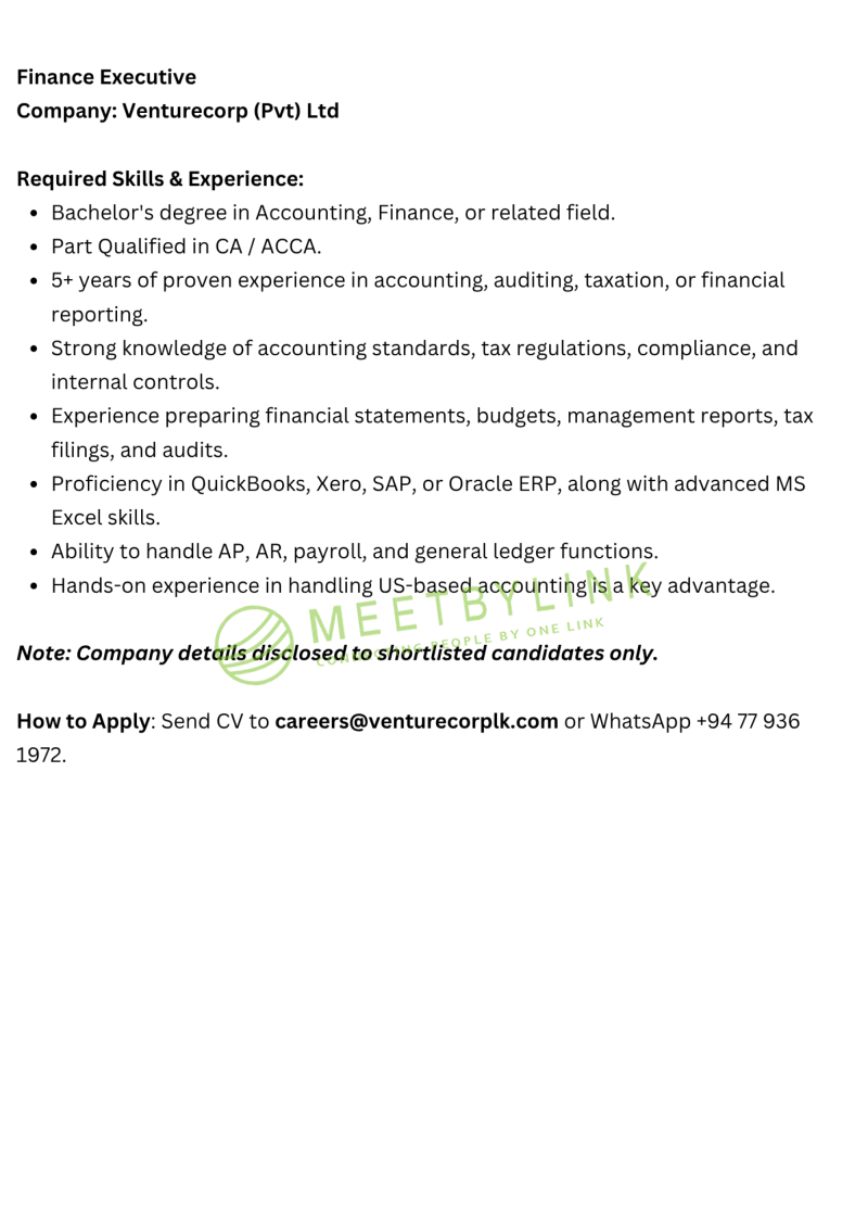 Finance Executive