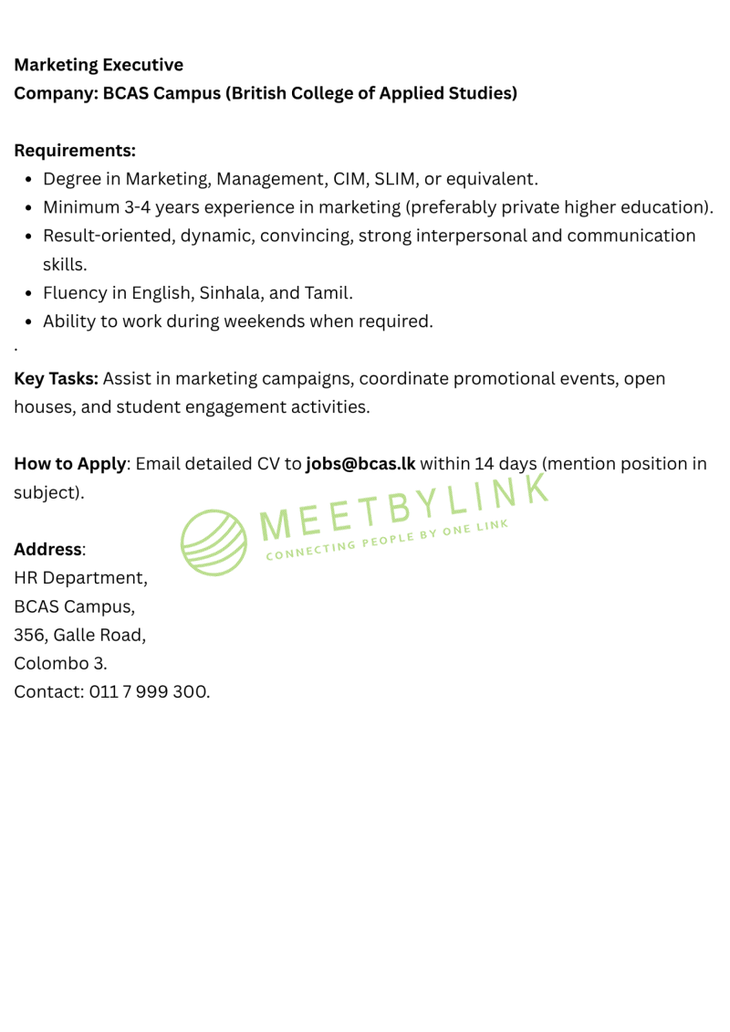 Marketing Executive