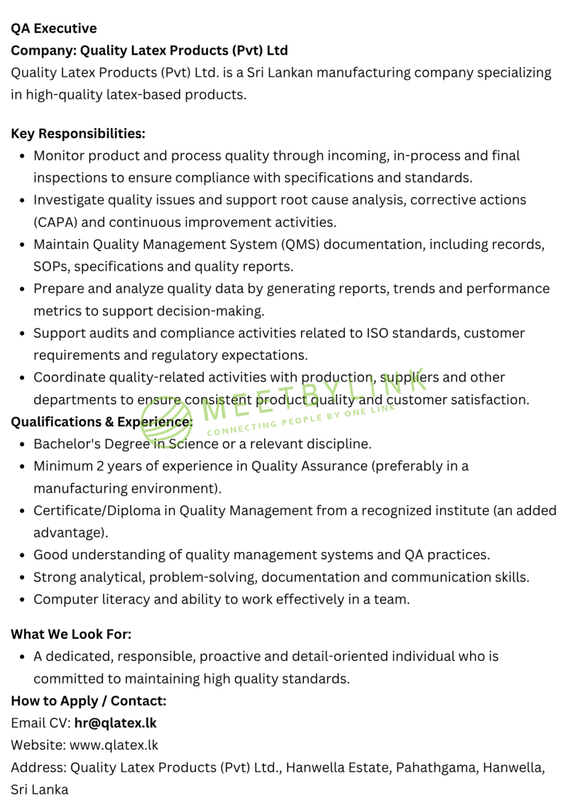 QA Executive
